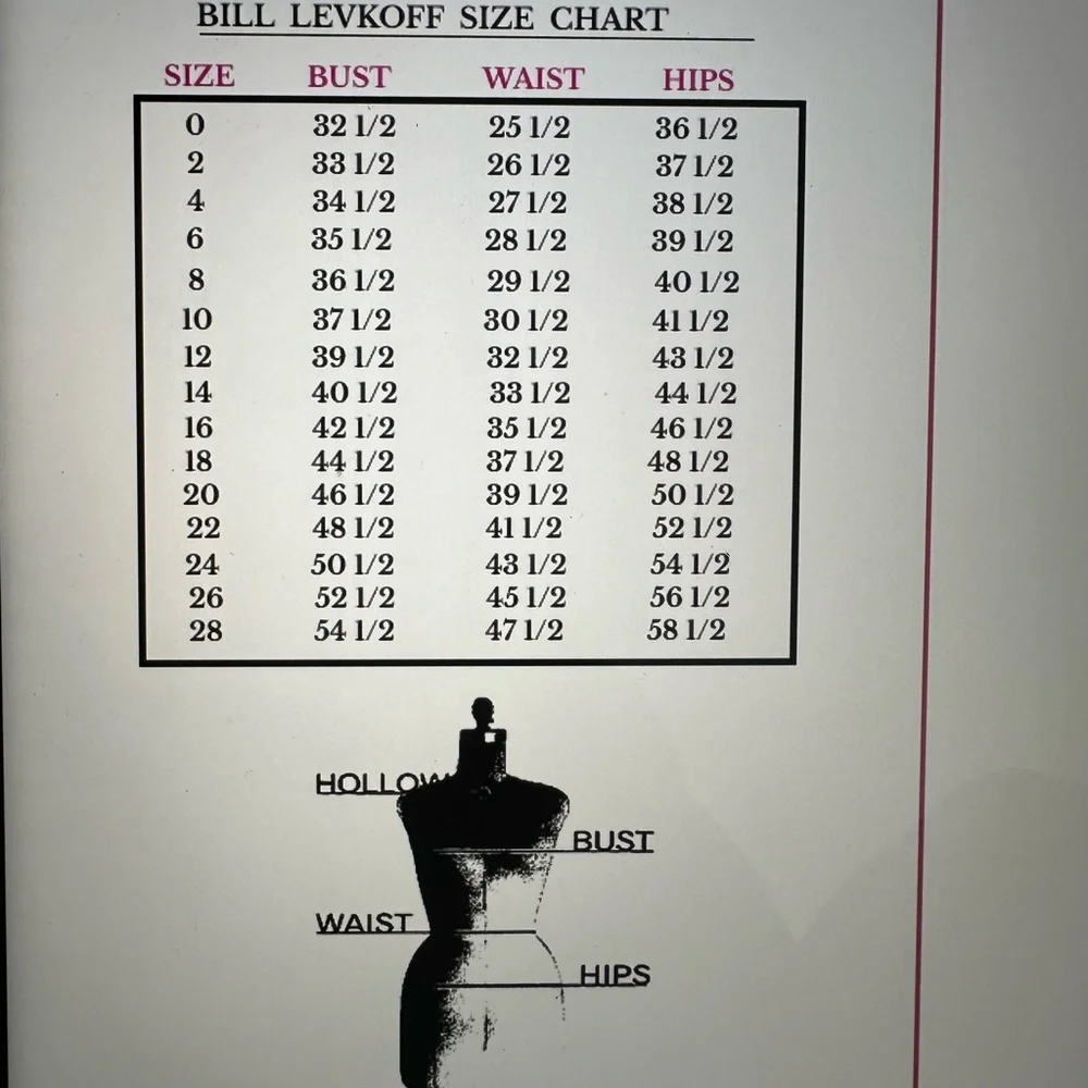 Brand: Levkoff Size 12 chiffon dress - Picture 5 of 9